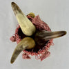 Antique Bovine Horn Primitive Pin Cushion