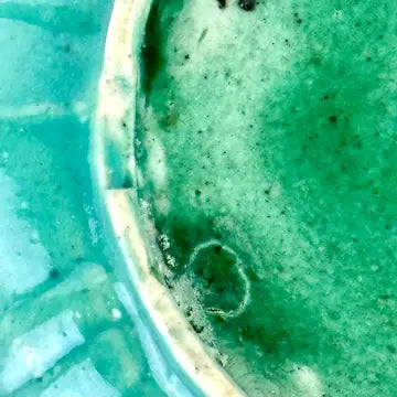 Antique Chinese Turquoise Glazed Pottery Plate