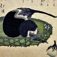 Antique Japanese Surimono Woodblock Print by Totoya Hokkei