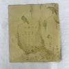 Antique Japanese Woodblock print from “The Smiling Book” by Suzuki Koson