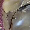 Antique Primitive Deer Hoof Sewing Pin Cushion