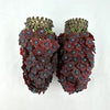 Art Deco Czech Floral Glass Bulb Covers