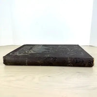 Rare Late 1800’s Purgatory and Paradise Illustrated by Gustave Dore
