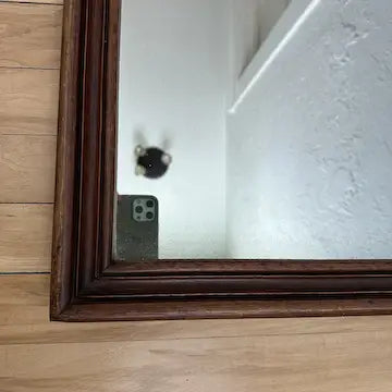 Vintage Round Top Wood Framed Mirror