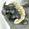 Vintage Stone Musk ox Sculpture Signed L Kootoo